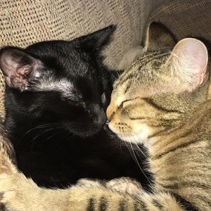 Meet your Posher, Whitney